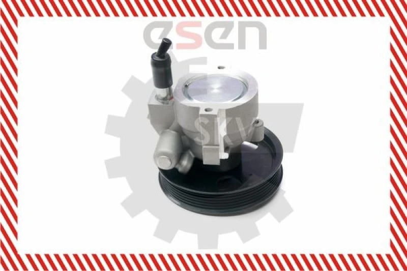 Image of ESEN SKV Power steering pump ESEN SKV 10SKV207