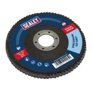 Image of Flap Disc Zirconium 100mm 16mm Bore 120Grit