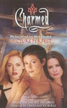 Image of Picture Perfect by Cameron Dokey Book