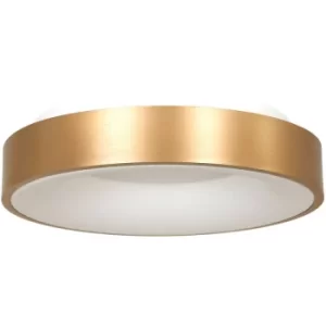 Image of Sienna Ring Sled Cylindrical Ceiling Light Gold Matt, Plastic White