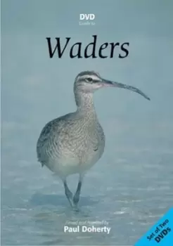 Image of Waders - DVD - Used