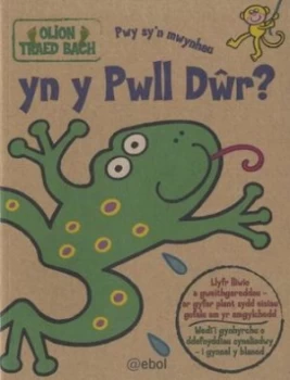 Image of Pwy Syn Mwynhau Yn Y Pwll Dwr by Glyn Saunders Jones Book