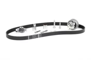 Image of INA Water Pump + Timing Belt Kit 530 0082 30 VW,AUDI,SKODA,Golf IV Schragheck (1J1),Golf IV Variant (1J5),Bora Limousine (1J2),Bora Variant (1J6)
