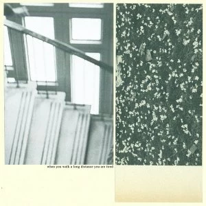 Image of Mothers - When You Walk A Long Distance You Are Tired Vinyl