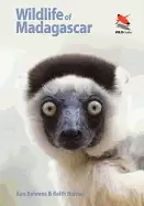 Image of wildlife of madagascar