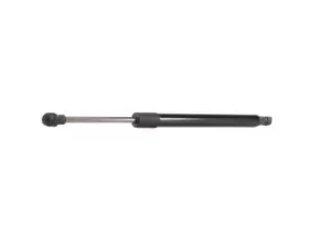 Image of RIDEX Tailgate strut BMW 219G0366 51248227895