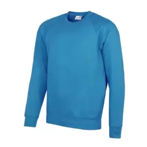 Image of AWDis Academy Mens Crew Neck Raglan Sweatshirt (L) (Sky)