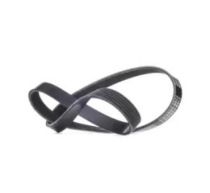 Image of RIDEX V-ribbed belt 305P0058 Serpentine belt,Auxiliary belt VW,AUDI,FIAT,Golf V Schragheck (1K1),Passat Variant (3C5),GOLF VI (5K1),TIGUAN (5N_)