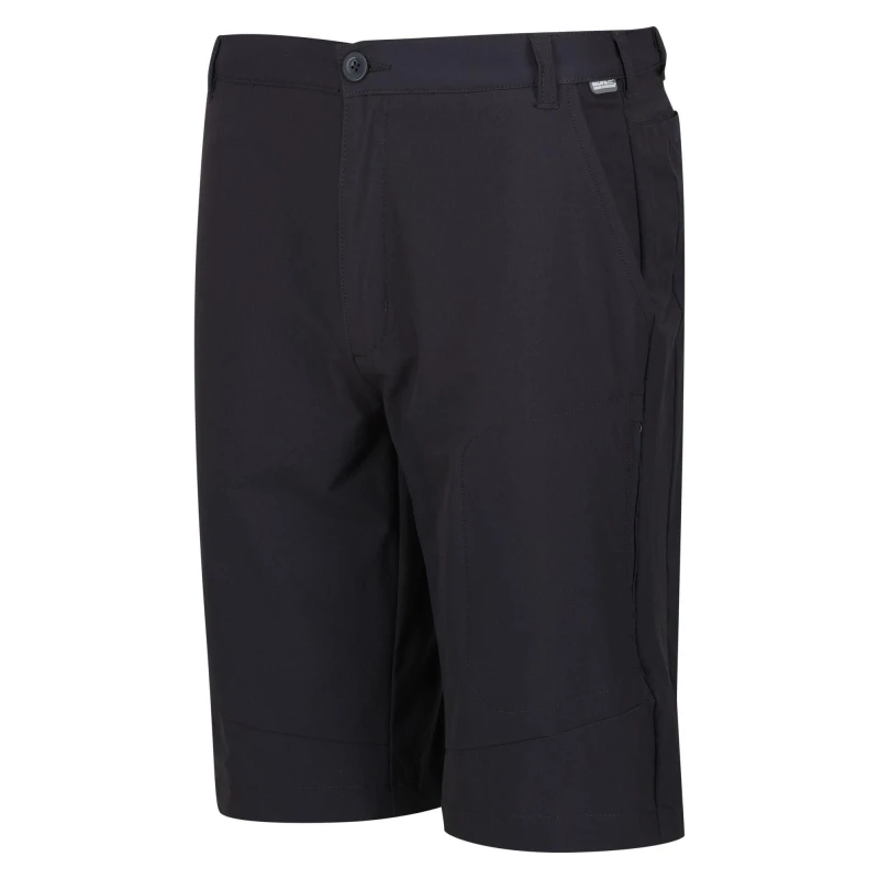 Image of Regatta Highton Long Shorts - Grey Grey 32