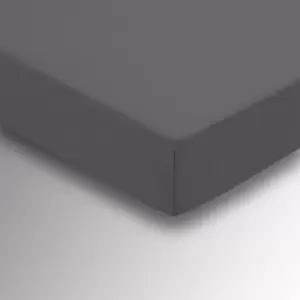 Image of 50/50 Plain Dye Percale Single Fitted Sheet, Charcoal