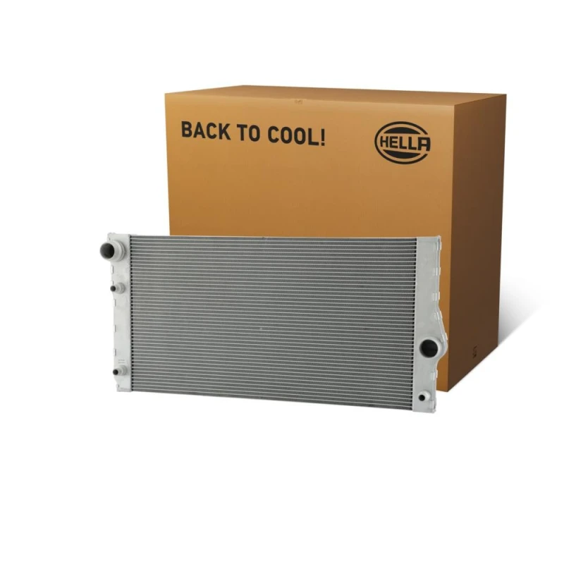 Image of HELLA Engine radiator HELLA 8MK 366 301-821