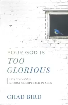 Image of Your God Is Too Glorious : Finding God in the Most Unexpected Places