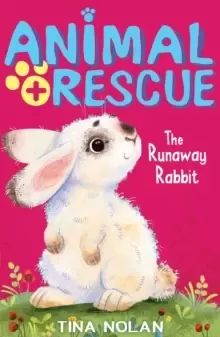 Image of The Runaway Rabbit