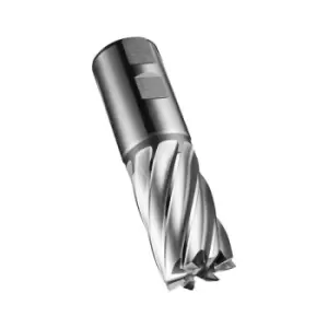 Image of Schaftfraser C247 DIN 844 K D.32mm Schneiden-L.53mm HSS-E-PM Blank 30Grad Z.6 DO