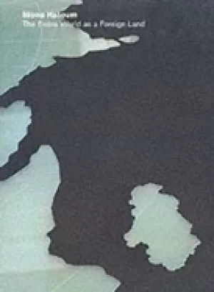 Image of mona hatoum the entire world as a foreign land