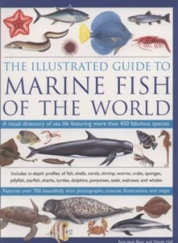 Image of The Illustrated Guide to Marine Fish of the World by Amy-Jane Beer Book