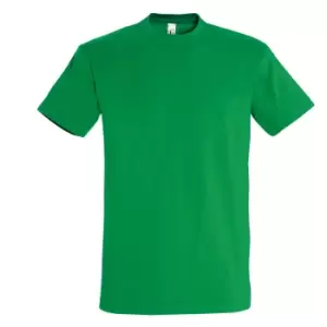 image of SOLS Mens Imperial Heavyweight Short Sleeve T-Shirt (3XL) (Kelly Green)