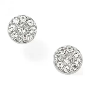 Image of Fashion Earrings