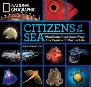 Image of Citizens of the Sea by Nancy Knowlton Hardback