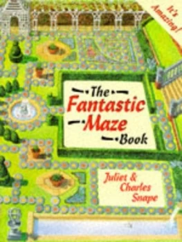 Image of The Fantastic Maze Book by Juliet Snape and Charles Snape Paperback