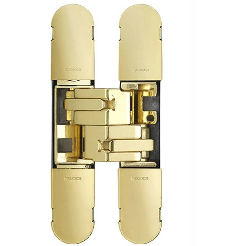Image of Loops 134 x 24mm Concealed Medium Duty Hinge Fits Unrebated Doors Brass Plated Metallics
