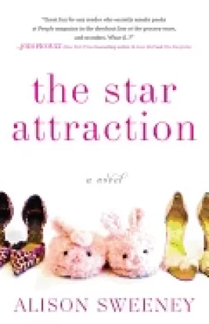 Image of star attraction