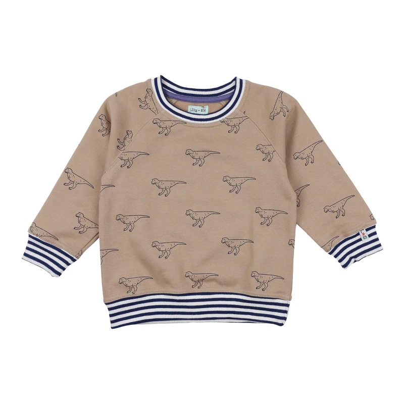 Image of Lilly + Sid Dino Print Sweatshirt Grey unisex