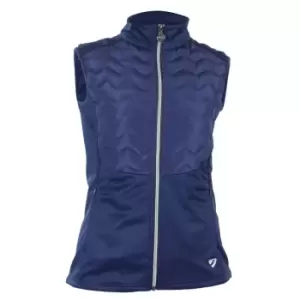 image of Aubrion Womens/Ladies Vale Light Gilet (L) (Dark Navy)