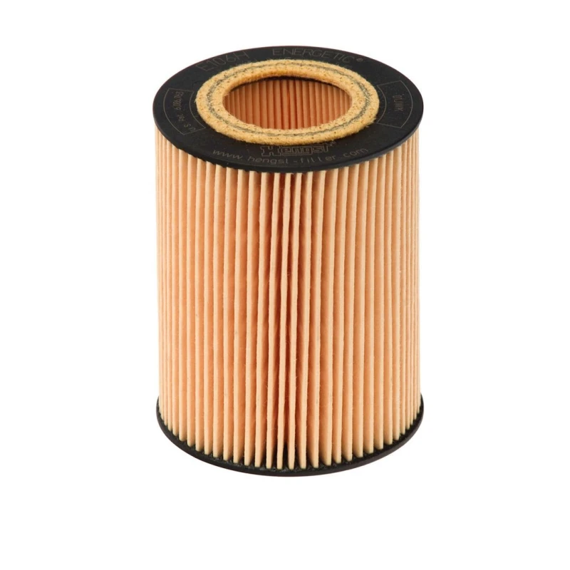 Image of Oil filter HENGST FILTER E106H D171