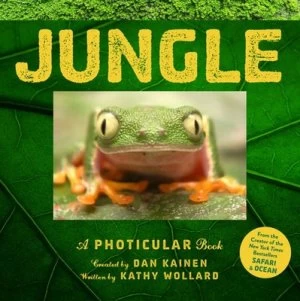 Image of Jungle by Dan Kainen Hardback