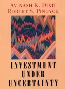 Image of Investment under Uncertainty