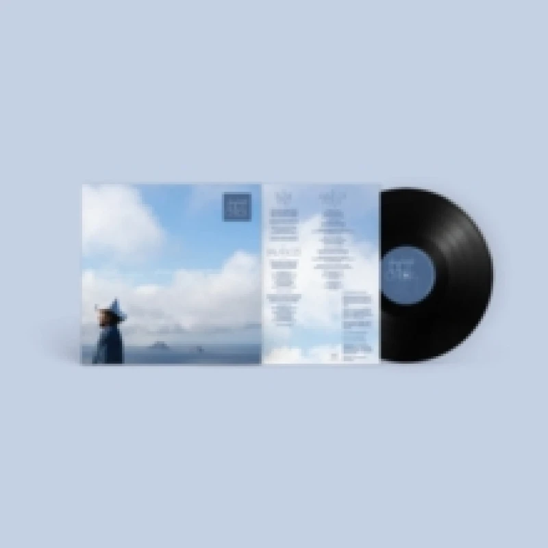 Image of Idiot Check Vinyl