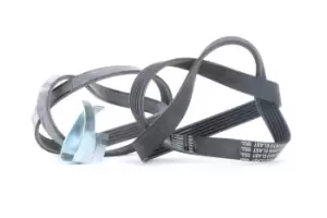 Image of CONTITECH V-ribbed belt set 6PK1059 ELAST T2 Serpentine belt kit,Auxiliary belt kit FORD,VOLVO,FOCUS III Turnier,Focus II Schragheck (DA_, HCP, DP)