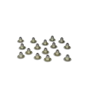 Image of REINZ Seal Set, valve stem BMW,TOYOTA 12-36866-01 0034068,11340034068,13734WAA01