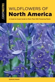 Image of Wildflowers of North America : A Coast-to-Coast Guide to More than 500 Flowering Plants