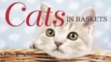 Image of Cats in Baskets