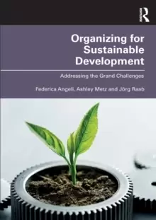 Image of Organizing for Sustainable Development : Addressing the Grand Challenges
