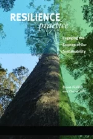 Image of resilience practice building capacity to absorb disturbance and maintain fu