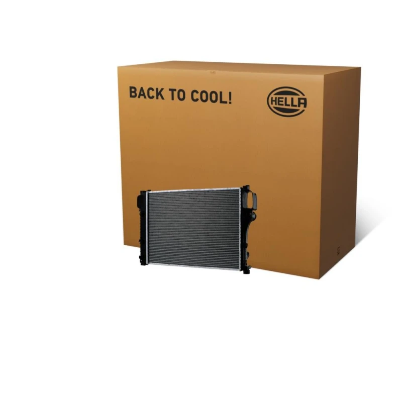 Image of HELLA Engine radiator HELLA 8MK 366 302-611