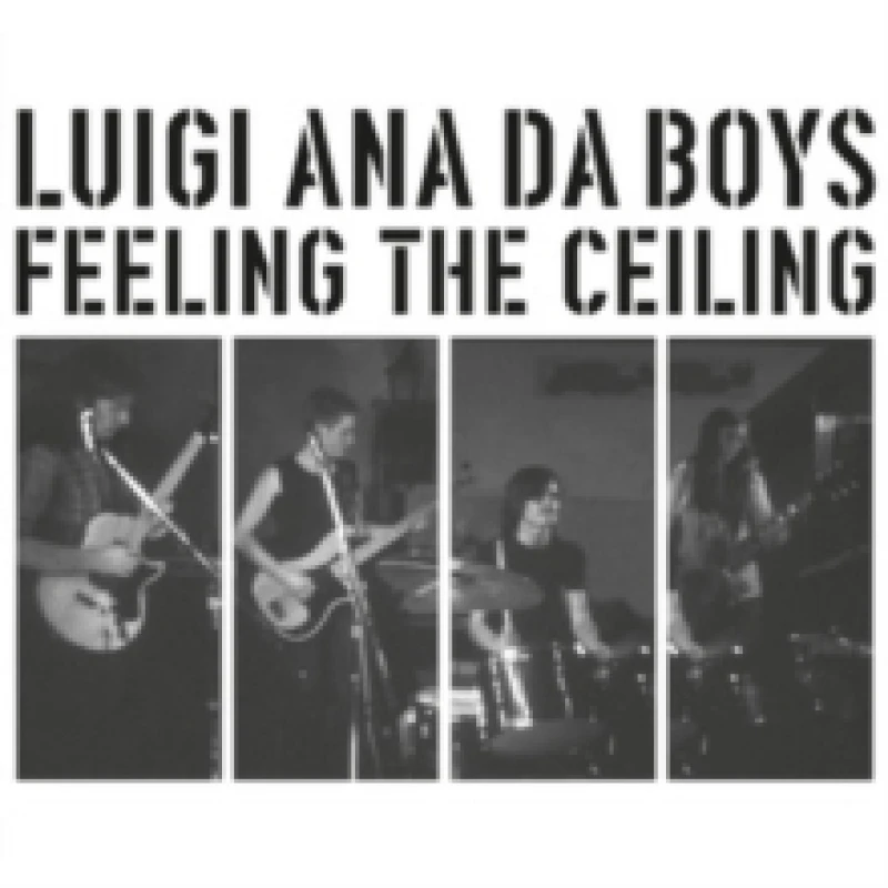 Image of Feeling the Ceiling Vinyl