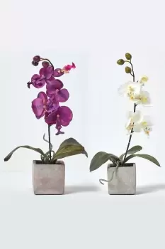 Image of Set of 2 Cerise Pink & White Artificial Orchids in Pots, 40 cm