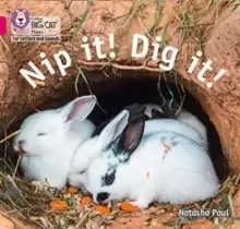 Image of Nip it! Dig it! : Band 01b/Pink B