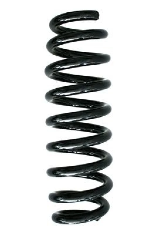Image of Coil spring SPIDAN 86762