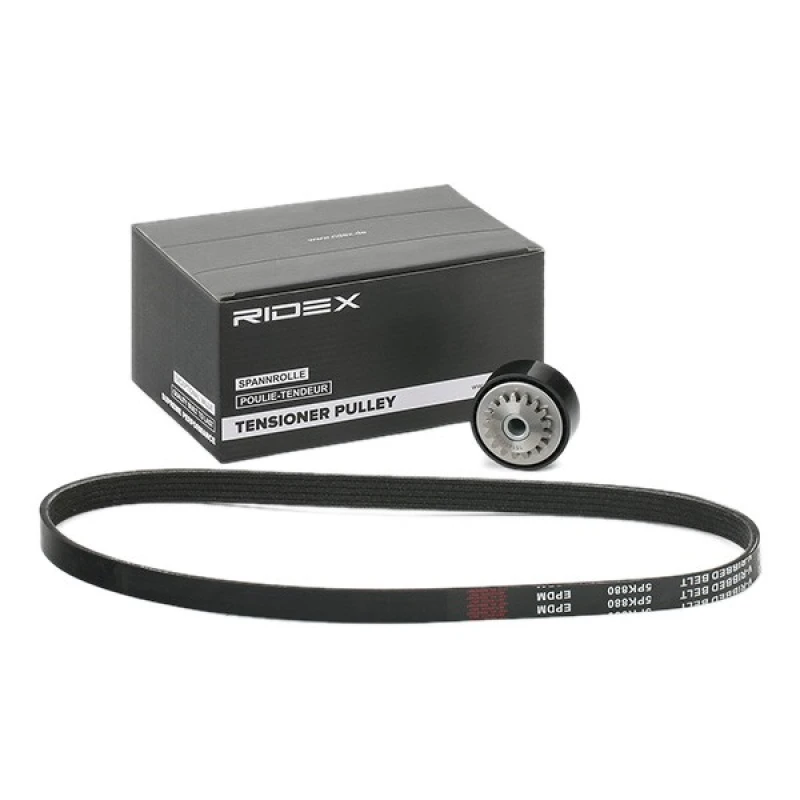 Image of RIDEX 542R0659 V-ribbed belt set V-Ribbed Belt Set (542)
