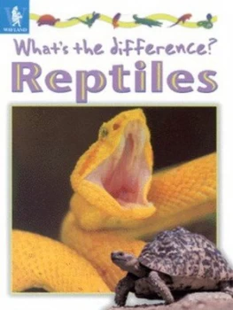 Image of Reptiles by Stephen Savage Hardback