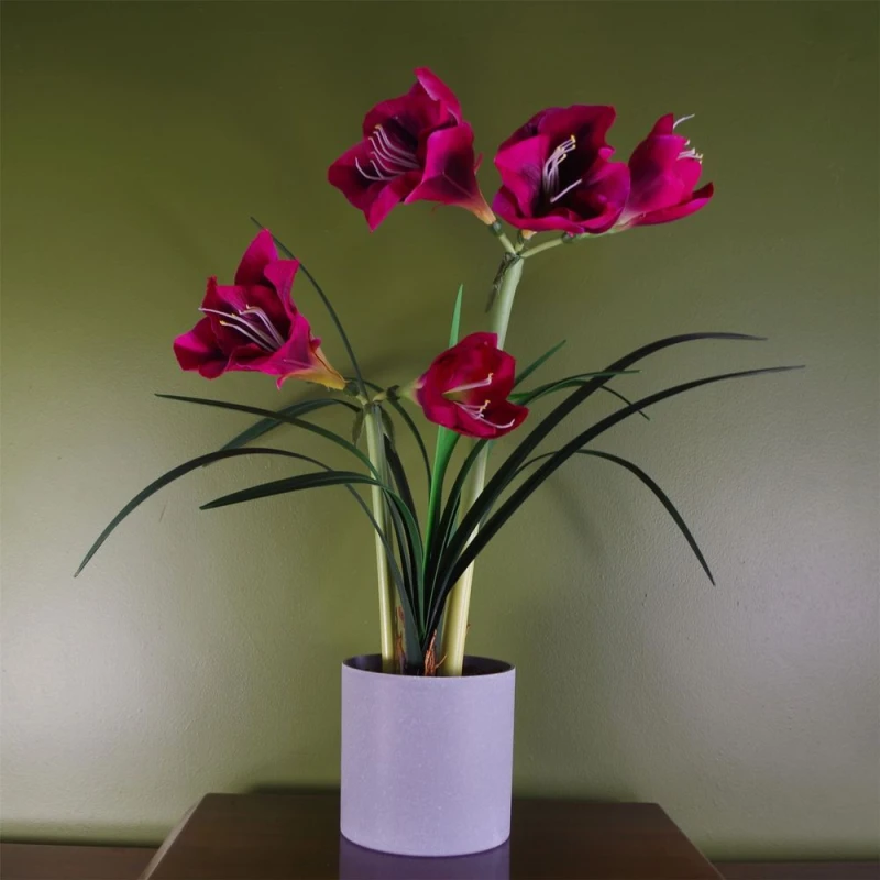 Image of Leaf Artificial Amarylis Flowering Plant Pink Dark Pink