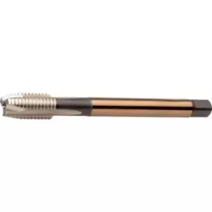 Image of EP00 M22X2.50 HSS-E Spiral Point Machine Tap - DIN 376