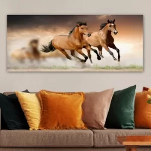 Image of YTYDR14_50120 Multicolor Decorative Canvas Painting