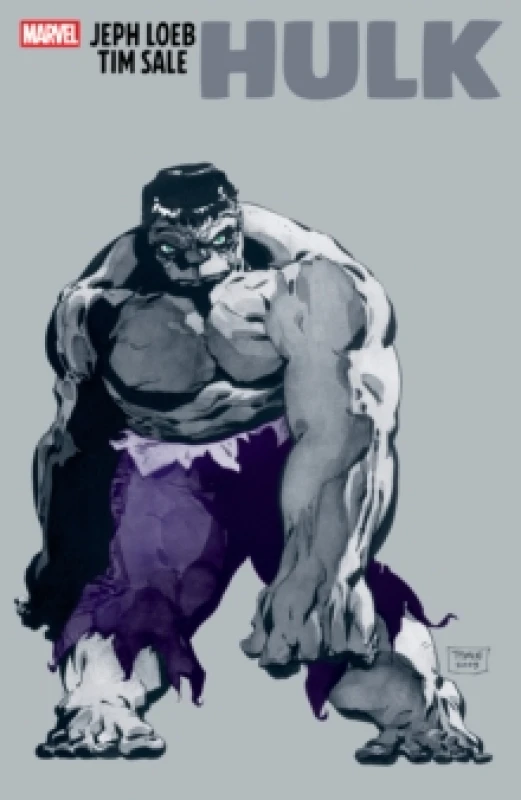Image of Jeph Loeb & Tim Sale: Hulk Paperback / softback