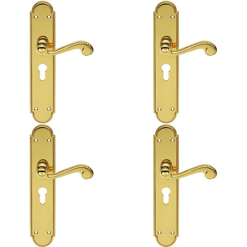 Image of Loops 4x PAIR Beaded Pattern Handle on Euro Lock Backplate 249 x 50mm Polished Brass Metallics